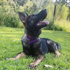 Meet your Posher, Lora